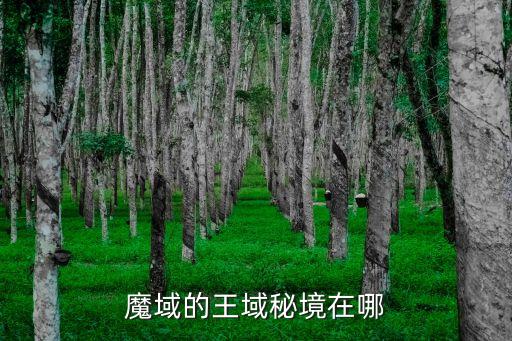 魔域的王域秘境在哪