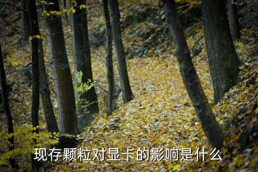 顯存顆粒，顯卡顯存顆粒是什么東西