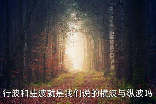 行波和駐波就是我們說的橫波與縱波嗎