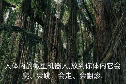 人體內(nèi)的微型機(jī)器人,放到你體內(nèi)它會(huì)爬、會(huì)跳、會(huì)走、會(huì)翻滾!