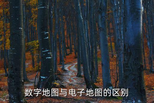 數(shù)字地圖與電子地圖的區(qū)別
