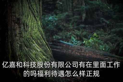 億嘉和科技股份有限公司有在里面工作的嗎福利待遇怎么樣正規(guī)
