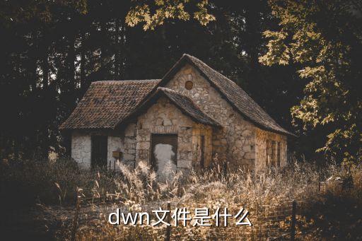 dwn文件是什么