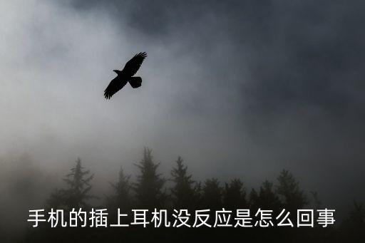 手機的插上耳機沒反應是怎么回事