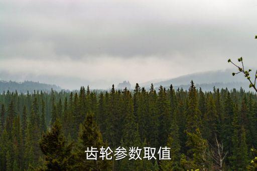 齒輪參數(shù)取值