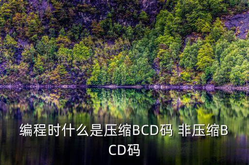 編程時什么是壓縮BCD碼 非壓縮BCD碼