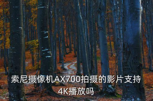 索尼攝像機(jī)AX700拍攝的影片支持4K播放嗎
