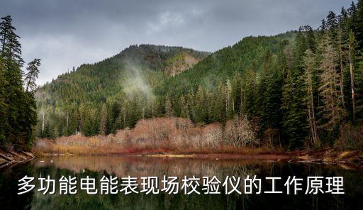 多功能電能表現(xiàn)場校驗儀的工作原理