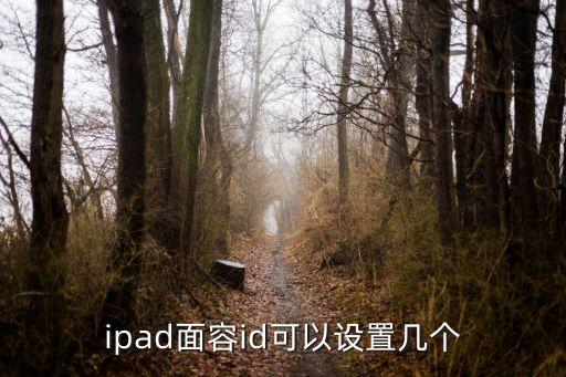 ipad面容id可以設(shè)置幾個(gè)