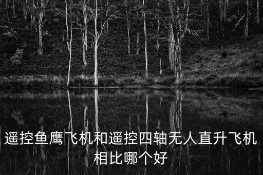 遙控魚鷹飛機(jī)和遙控四軸無人直升飛機(jī)相比哪個(gè)好