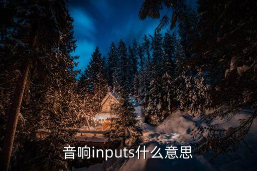 音響inputs什么意思