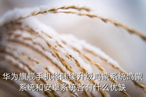 華為旗艦手機(jī)將陸續(xù)升級鴻蒙系統(tǒng)鴻蒙系統(tǒng)和安卓系統(tǒng)各有什么優(yōu)缺