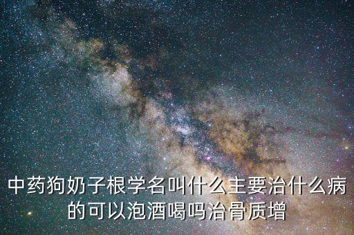 中藥狗奶子根學(xué)名叫什么主要治什么病的可以泡酒喝嗎治骨質(zhì)增