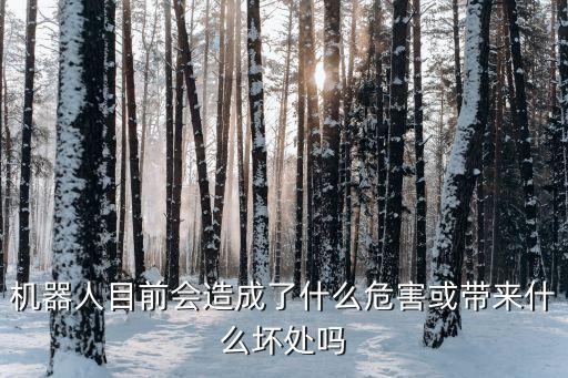 機(jī)器人目前會(huì)造成了什么危害或帶來(lái)什么壞處嗎