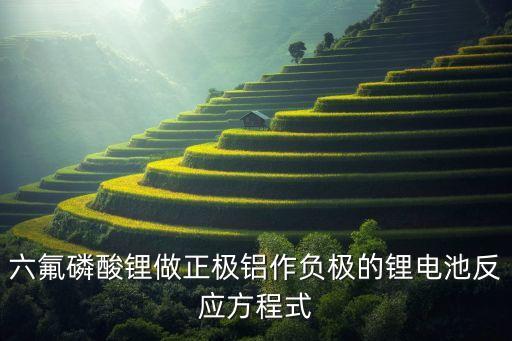 六氟磷酸鋰做正極鋁作負(fù)極的鋰電池反應(yīng)方程式
