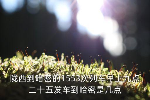 1553，1553 數(shù)字代表漢字 是什么