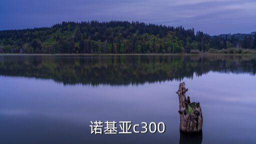 c300，諾基亞c300