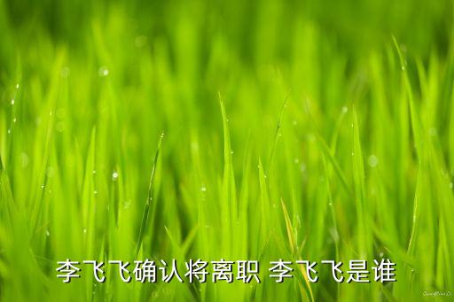 李飛飛，李飛飛怎么寫好看