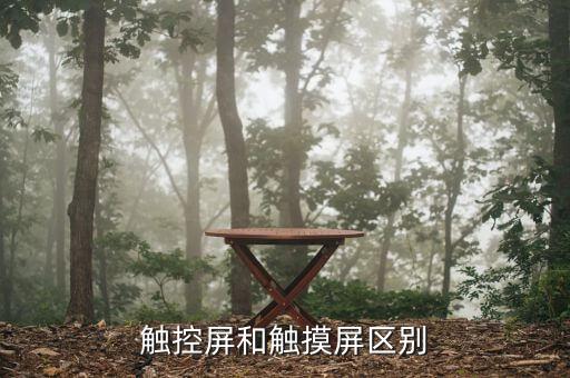 觸控屏和觸摸屏區(qū)別