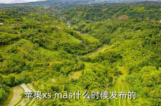 蘋果xs mas什么時(shí)候發(fā)布的