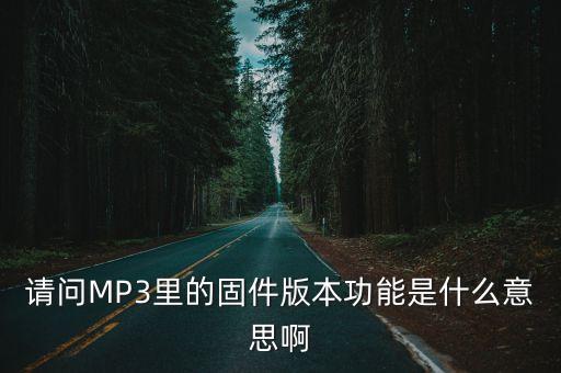 固件版本，適用平臺(tái)21及以上固件版本 是什么意思怎么知道手機(jī)是不是21及