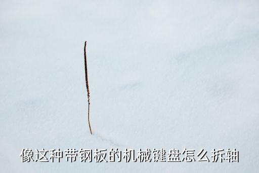 像這種帶鋼板的機(jī)械鍵盤怎么拆軸
