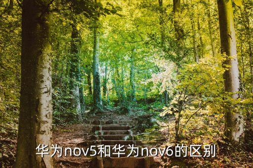 華為nov5和華為nov6的區(qū)別