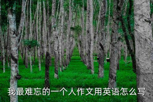 angrymiao，英語作文一個我永遠無法忘記的人