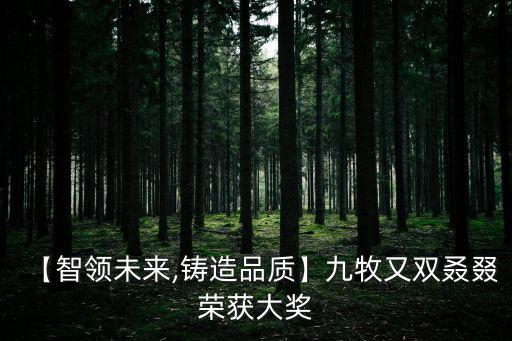 【智領(lǐng)未來,鑄造品質(zhì)】九牧又雙叒叕榮獲大獎