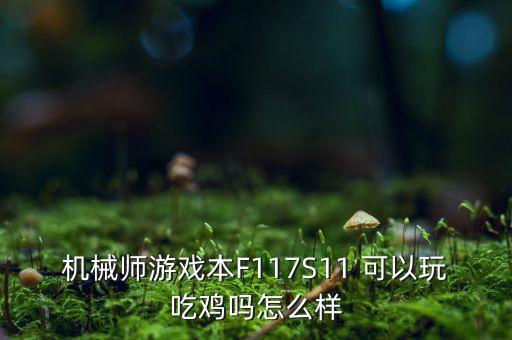 機(jī)械師游戲本F117S11 可以玩吃雞嗎怎么樣