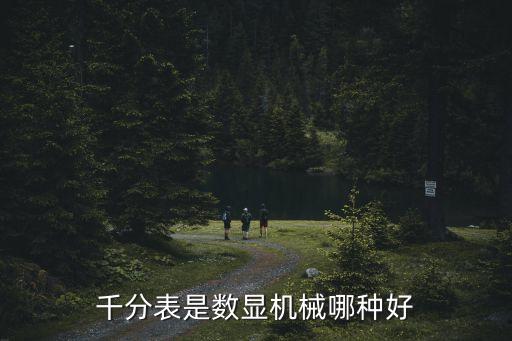 數(shù)顯千分表，千分表是數(shù)顯機械哪種好