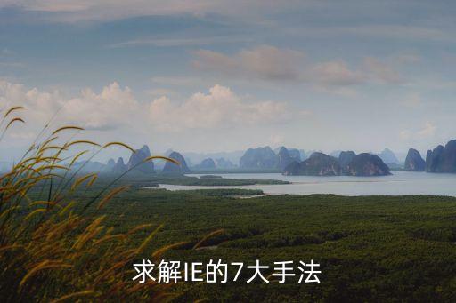 求解IE的7大手法