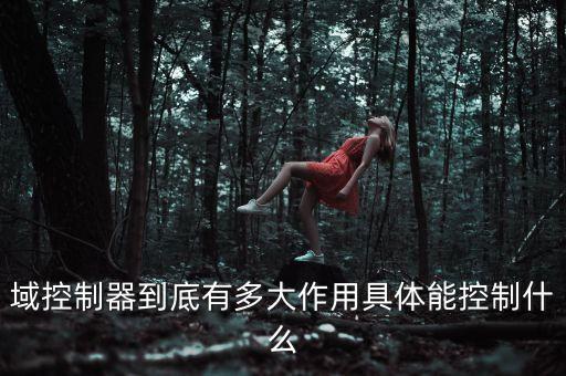 域控制器到底有多大作用具體能控制什么