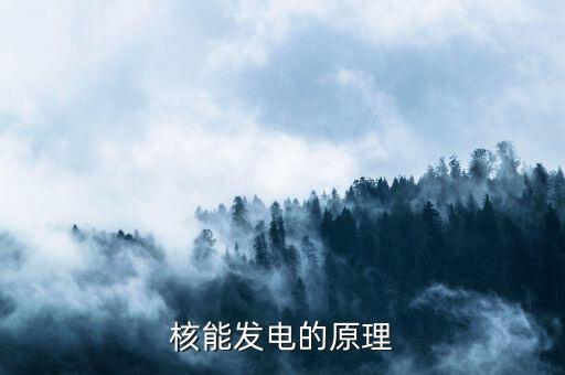 核電站原理，有誰知道核發(fā)電原理是怎樣的