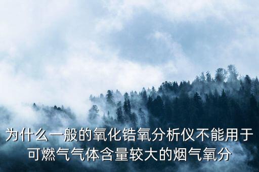 為什么一般的氧化鋯氧分析儀不能用于可燃?xì)鈿怏w含量較大的煙氣氧分