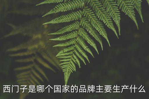 西門子是哪個(gè)國(guó)家的品牌主要生產(chǎn)什么