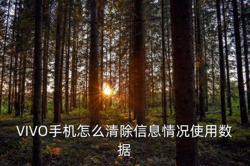 如何刪除手機(jī)統(tǒng)計(jì)數(shù)據(jù),手機(jī)怎么徹底清除數(shù)據(jù)?