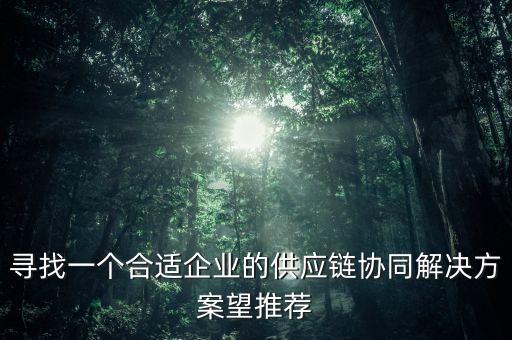 尋找一個合適企業(yè)的供應(yīng)鏈協(xié)同解決方案望推薦