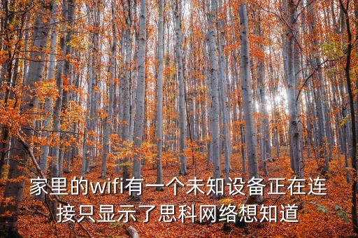 家里的wifi有一個未知設(shè)備正在連接只顯示了思科網(wǎng)絡(luò)想知道