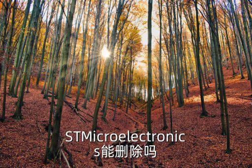 STMicroelectronics，T410i STMicroelectronics是什么東西