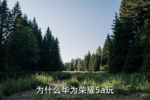華為榮耀5a，華為榮耀5A處理器是多少