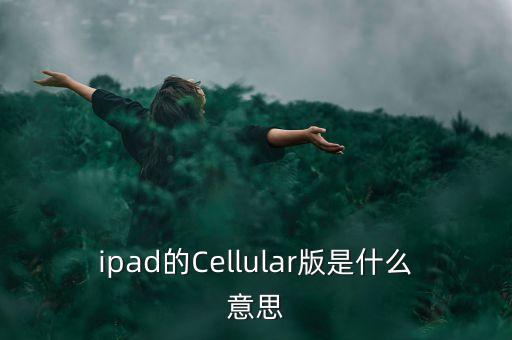 ipad的Cellular版是什么意思
