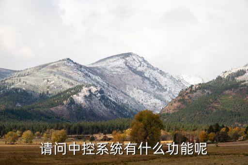 請(qǐng)問中控系統(tǒng)有什么功能呢