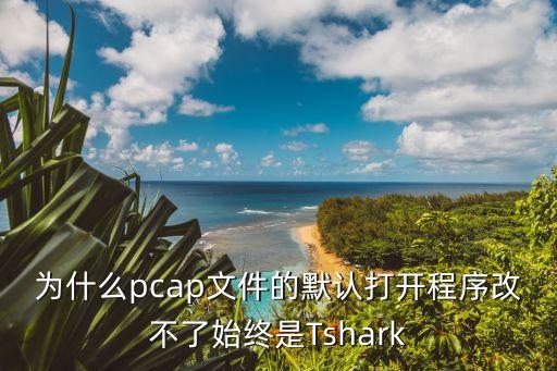 為什么pcap文件的默認(rèn)打開程序改不了始終是Tshark