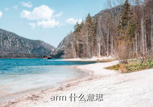 arm 什么意思