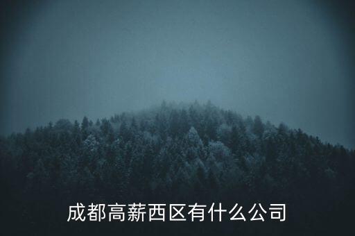 中芯國際為什么是外企，成都高薪西區(qū)有什么公司