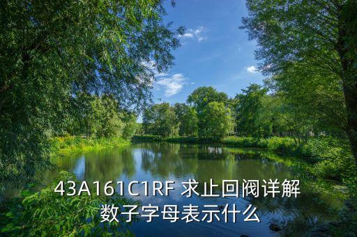 止回閥符號，43A161C1RF 求止回閥詳解 數(shù)子字母表示什么