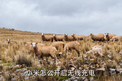 小米怎么開啟無線充電