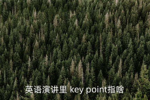 英語演講里 key point指啥