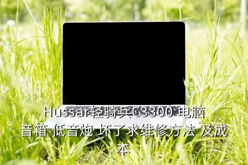 Hussar輕騎兵C3300 電腦音箱 低音炮 壞了求維修方法 及成本